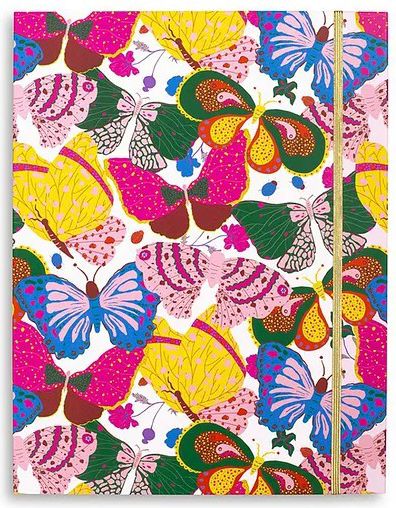 Berry Butterfly File Folder