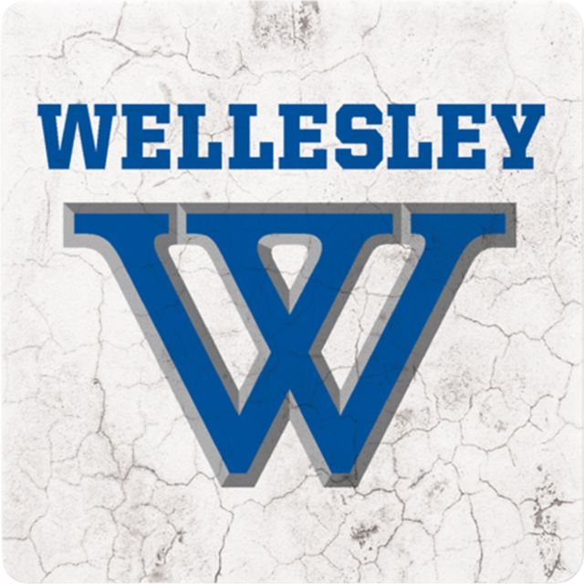 Wellesley College Blue 4x4 Coaster