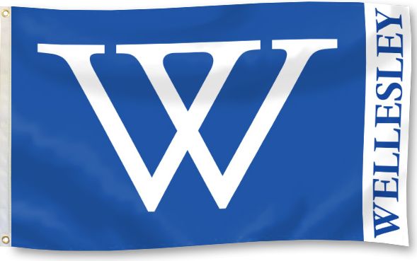 Wellesley College 3'x5' Flag