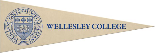 Wellesley College 5x15 Pennant