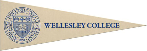 Wellesley College 5x15 Pennant