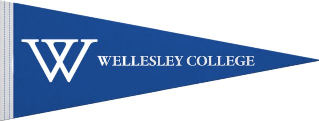 Wellesley College 9x24 Pennant