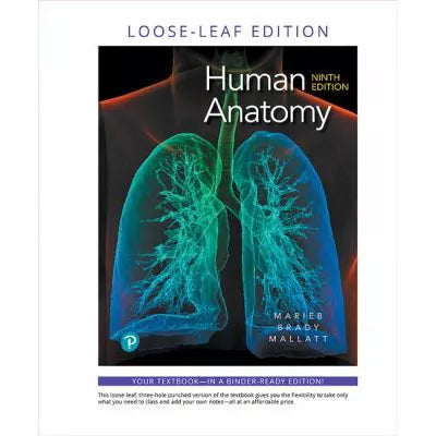 Human Anatomy (LL)