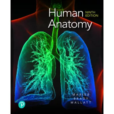 Human Anatomy