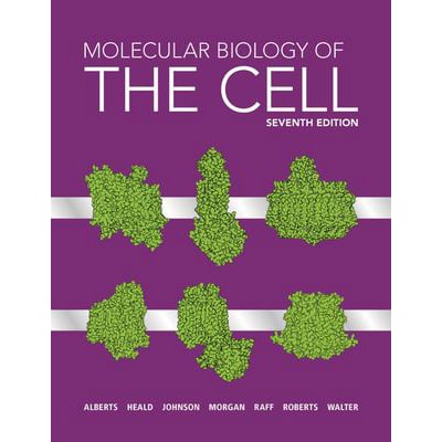 Molecular Biology of the Cell (LL)(w/Ebook + Smartwork + Videos/Animations)
