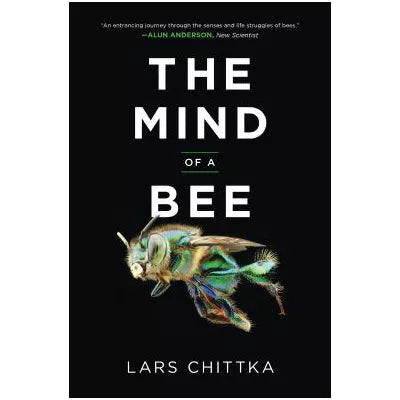 Mind of a Bee