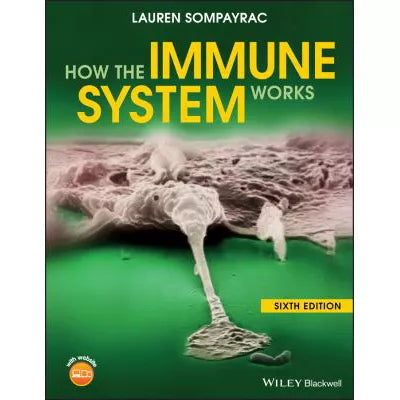 How the Immune System Works