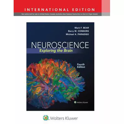 Neuroscience Brain